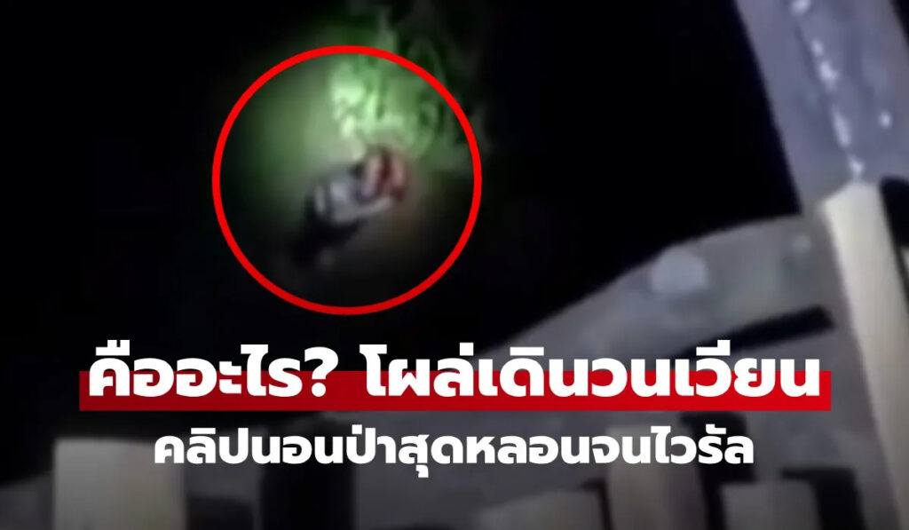 อะไรในป่าไทย? คลิปไวรัลสยองขวัญ 30 ล้านวิว เคลียร์ชัดจริงหรือหลอน