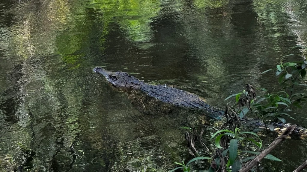 คืนถิ่นธรรมชาติ!