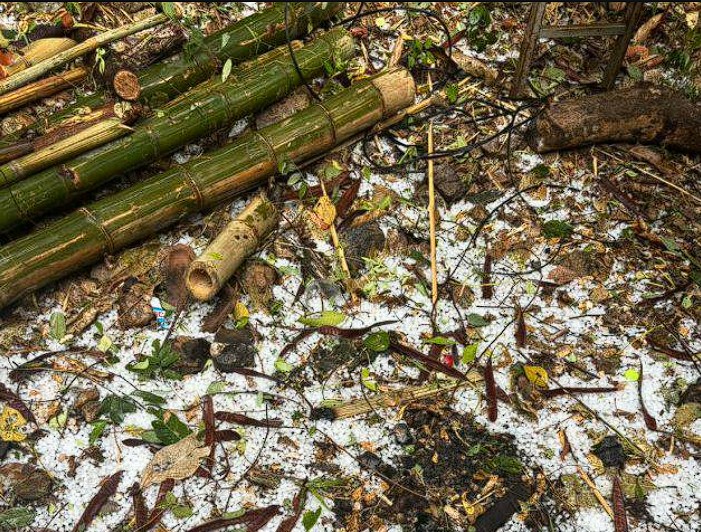 พายุฤดูร้อนแม่วาง เชียงใหม่ ลูกเห็บตกหนัก