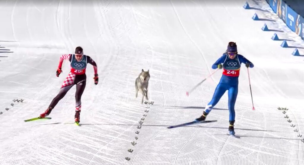 Winter Olympics 2026