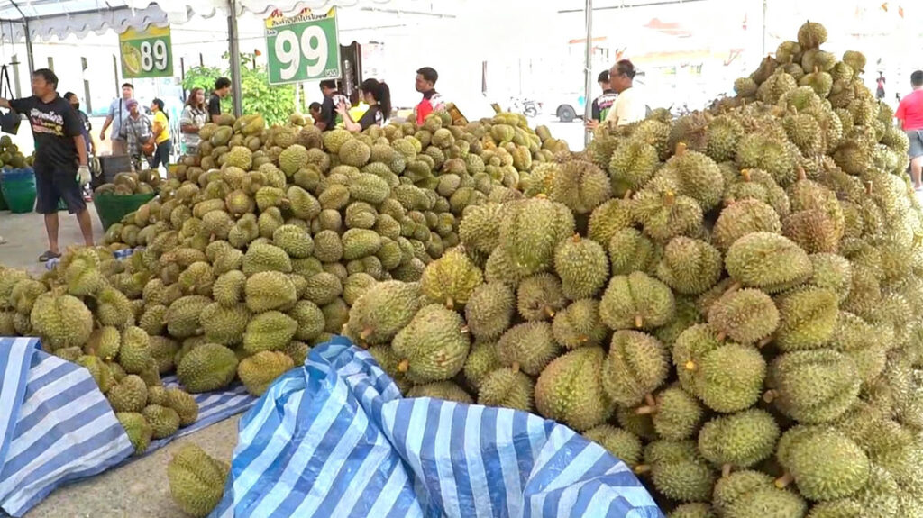 ทุเรียนลูกละ 1 บาท เจ๊ดา ผลไม้ซิ่ง