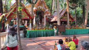 คำชะโนดฮือฮา! งูใหญ่ปรากฏตัวบนศาลปู่ศรีสุทโธก่อนงานบวงสรวงใหญ่