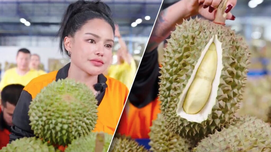ร้านน้องพะแพง แจงดราม่า "ทุเรียนพิมรี่พาย" ยันพร้อมส่งใน 1-7 วัน