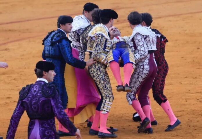 มาทาดอร์สเปน โมรันเต้ บาดเจ็บสาหัส หลังถูกกระทิงขวิดทวารหนัก