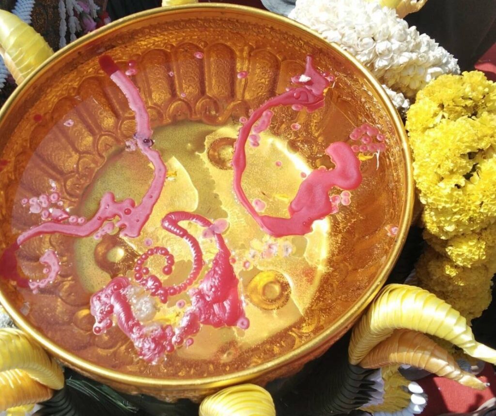 บวงสรวงใหญ่คำชะโนด เปลี่ยนเครื่องทรงพ่อปู่แม่ย่า ส่องเลขเด็ด