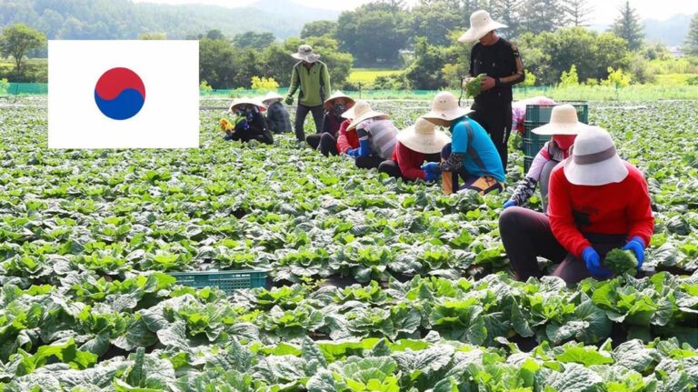 เกาหลีใต้แบน 4 จังหวัดไทย ห้ามนำเข้าแรงงานเกษตร-ประมงตลอดปี 2569